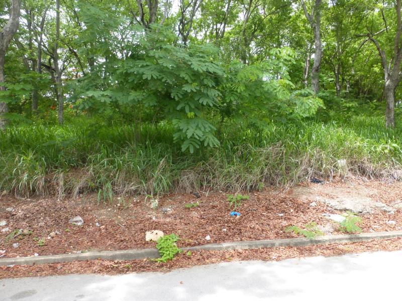 Land For Sale in Rockley Barbados